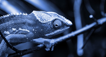 What is adaptive teaching?