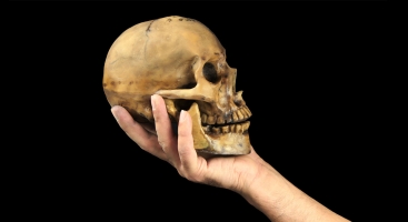 Drama Shakespeare skull