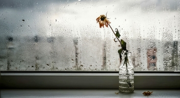 How can school leaders boost staff wellbeing?