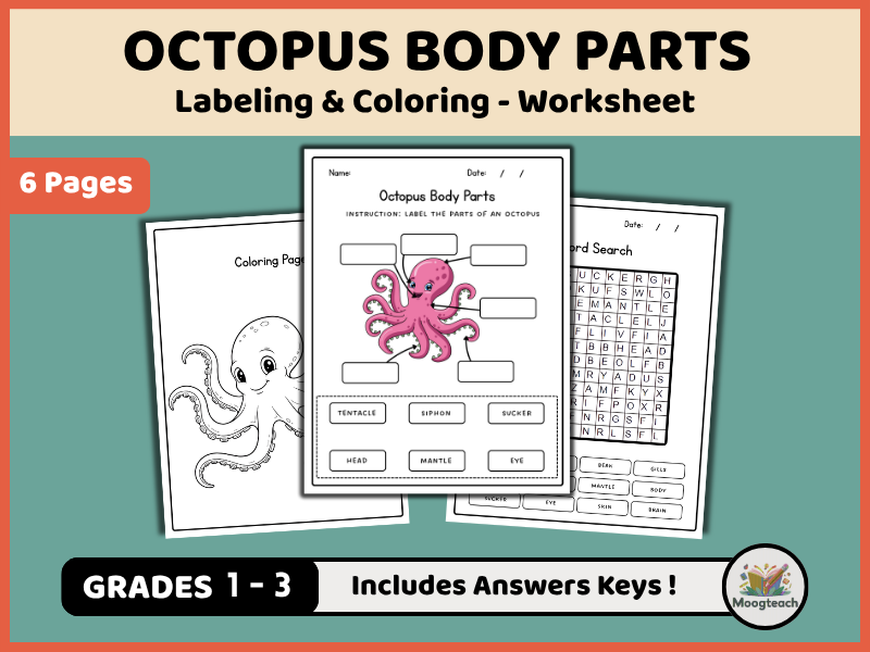 Octopus Body Parts | Marine Biology | Cephalopods | Labeling & Coloring | Science Worksheet | KS1 |