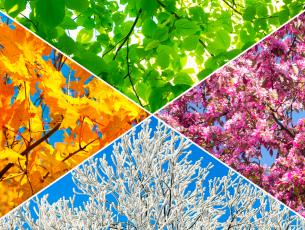 Seasonal poetry for primary